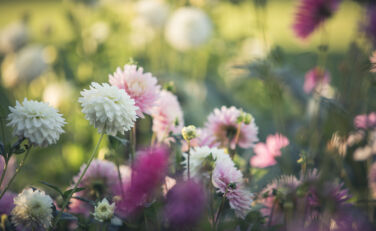 Resonant Touch Immersion – April 24–26, Berlin